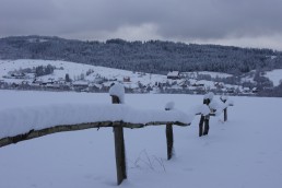 Podsarnie zimą